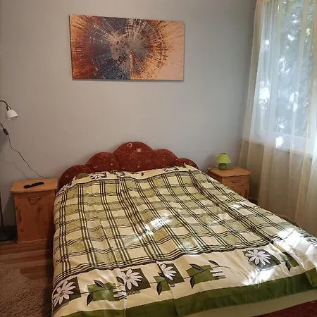 Toelgyfa Vendeghaz Gasthof *