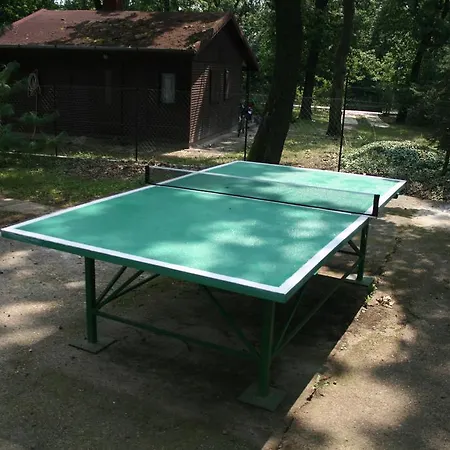 Penzion Toelgyfa Vendeghaz 3*