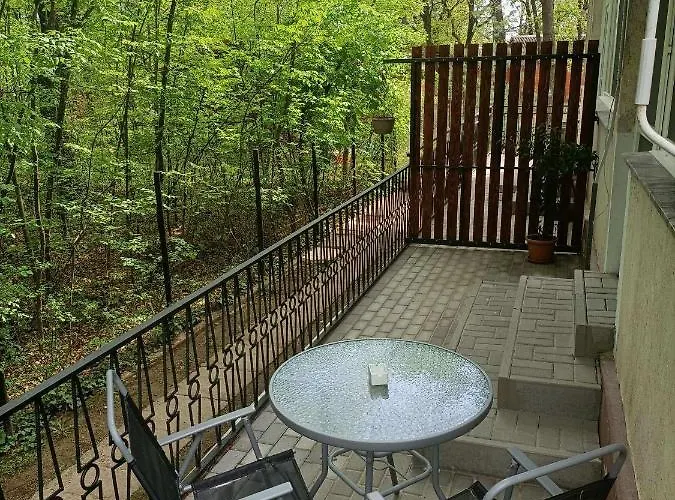Toelgyfa Vendeghaz 3*
