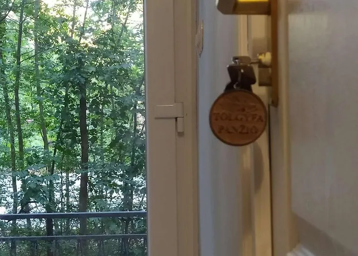 Toelgyfa Vendeghaz Guest house Balatonszepezd