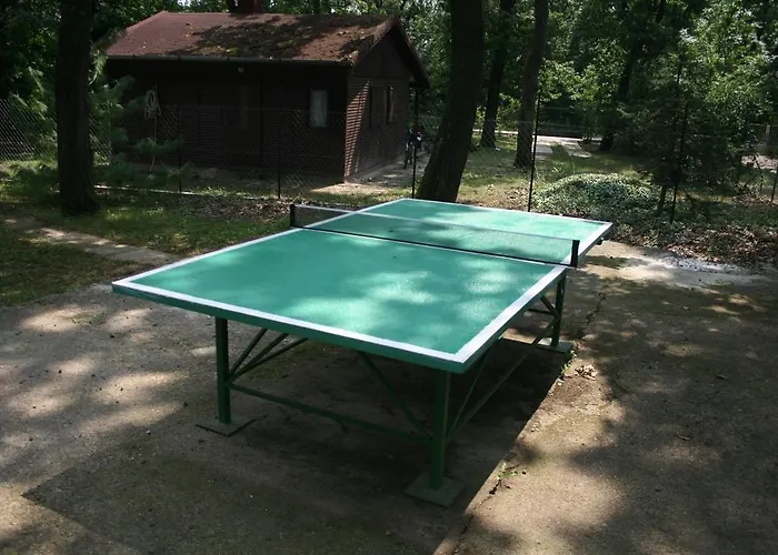 Guest house Toelgyfa Vendeghaz 3*